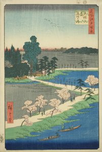 The Entwined Camphor Trees at Azuma Shrine, from the series 