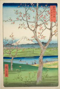 The Outskirts of Koshigaya in Musashi Province, from the series 