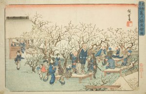 The Plum Garden at Komeido, from the series "Famous Places in the Eastern Capital" by Utagawa Hiroshige