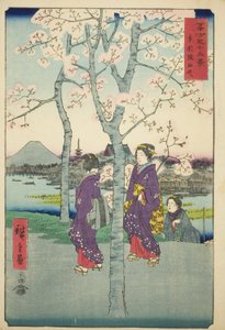 The Sumida Embankment in the Eastern Capital, from the series 