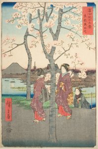The Sumida Embankment in the Eastern Capital, from the series 