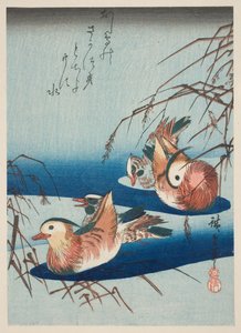 Two Pairs of Mandarin Ducks