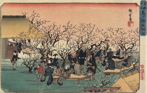 View of the Plum Garden at Kameido