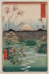 Ōtsuki Plain in Kai Province, from the series Thirty-six Views of Mount Fuji by Utagawa Hiroshige