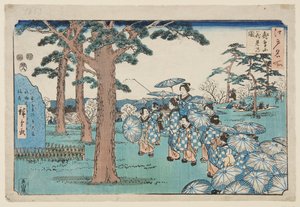 Cherry-blossom Viewing at Asuka Hill by Utagawa II Hiroshige