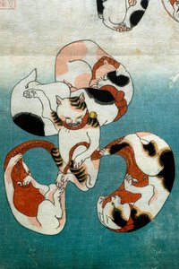 Octopus Series Cats Forming Written Characters