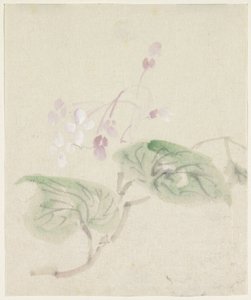 Pink Wisteria by Utagawa Kuniyoshi
