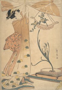 A Woman Tying up a Curtain, a Flower Arrangement of Chrysanthemums in a Boat-shaped Ha... by Utagawa Toyohiro