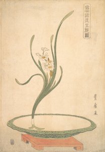 Flower Arrangement of Suisen Narcissus in a Flat Green Dish