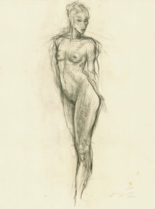 Graceful Nude Figure