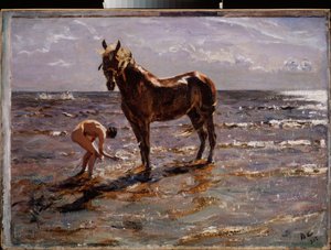 The Horse Bath