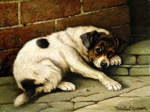 Lovable Companion