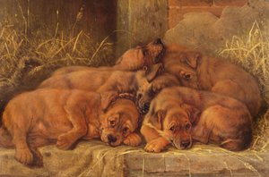 Puppy Love by Valentine Thomas Garland