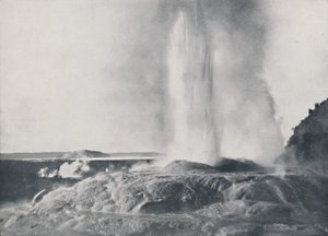 Geyser, New Zealand