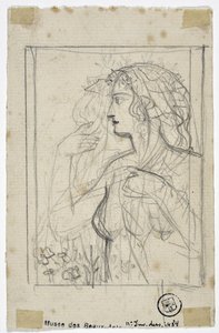 Woman Profile
