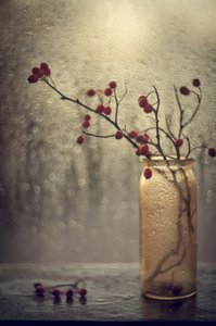 Berries by Rainy Window by Valeriya Tikhonova