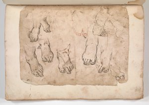 Album of Drawings