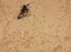 Study of Horses by Veit Stoss