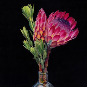 Pink Protea Vase