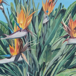 Vibrant Bird of Paradise by Viccy Wanliss