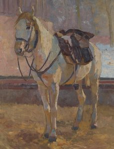 White Horse under Saddle
