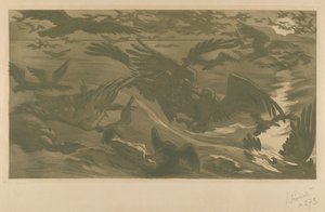 Birds of Prey, 1893