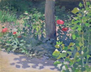 Study of Poppies in the Garden