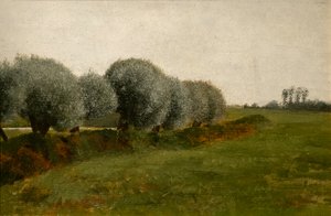 Landscape with a Row of Trees