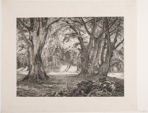 The Interior of a Forest by Vilhelm Kyhn