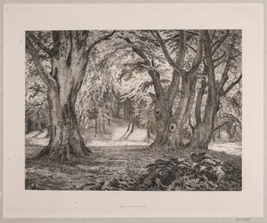 The Interior of a Forest by Vilhelm Kyhn