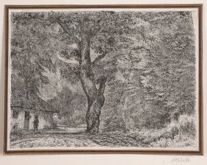 The House in the Forest