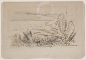 Landscape with Agave. Southern France
