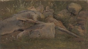 Study of a Stone Heap by Vilhelm Petersen