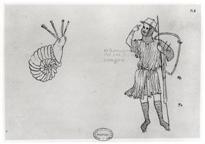 Snail and Hungarian Soldier (facsimile copy)