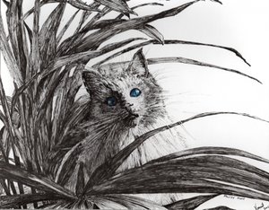 Monty Plant by Vincent Alexander Booth