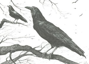 Observers by Vincent Alexander Booth