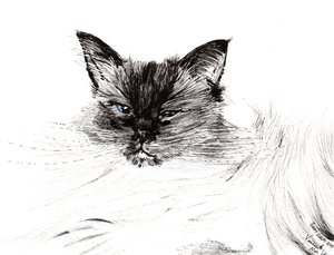Sleepy Eye