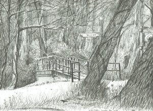 The Old Metal Bridge, Bramhall Park