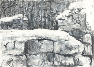 Wall in the Woods Osmotherley by Vincent Alexander Booth