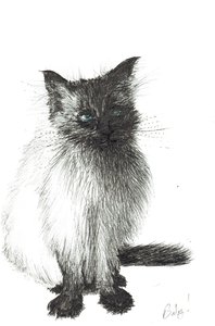 Young Baby, 2004