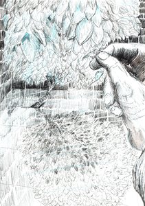 page43, The Castle in the Forest of Findhorn, 2006 by Vincent Alexander Booth