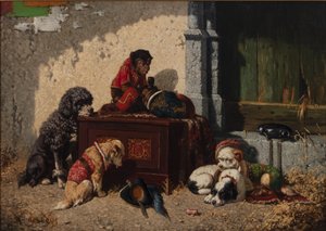 Circus Companions by Vincent de Vos