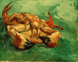 Crab Lying on Its Back