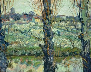 View of Arles by Vincent van Gogh