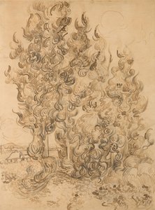Cypresses by Vincent van Gogh
