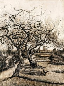 The Garden of the Parsonage in Nuenen. 1884 by Vincent van Gogh