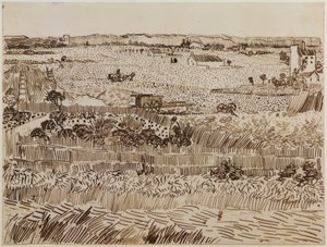 The Harvest