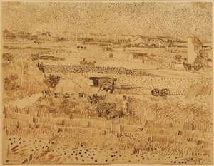 Harvest in Provence