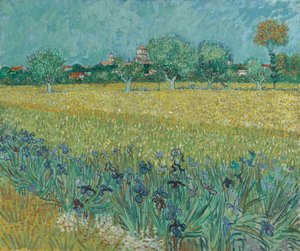 Field with Flowers near Arles by Vincent van Gogh
