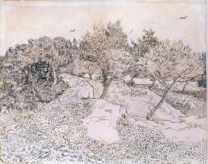 Olive Trees at Montmajour by Vincent van Gogh